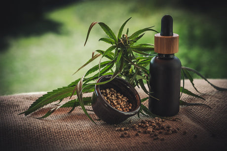 CBD Vaping: Dosage and Benefits